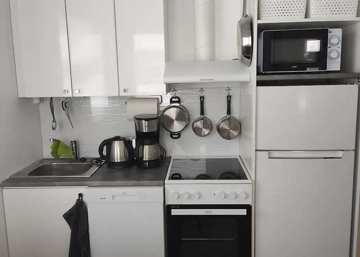 Peltokankaan Tila 上维耶斯卡